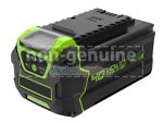 Greenworks LB40A010 Batería